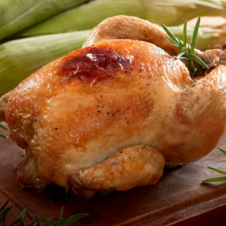 Pollo